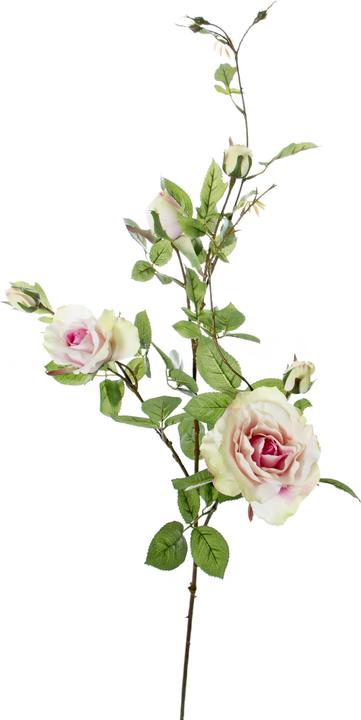 Luwatex Rose verzweigt (101 cm)