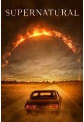 Actual product image WB Warner Supernatural Season 1-15 Complete (86 Disc) (DVD, English)
