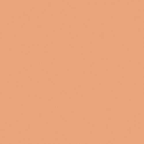Actual product image Naj Oleari NAJ-OLEARI Blooming BB Foundation 06 Cinnamon (06)
