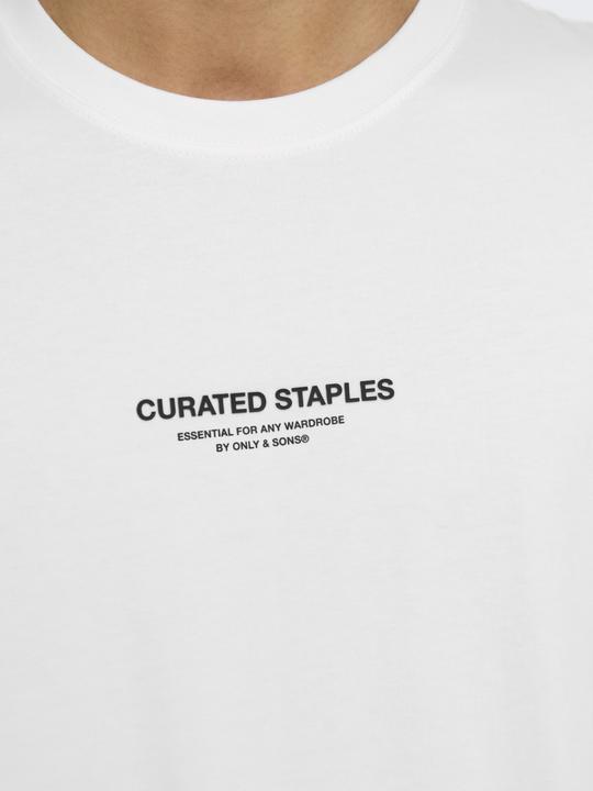 Actual product image Only & Sons Onscurated Rlx Print Ss Tee Noos (L)