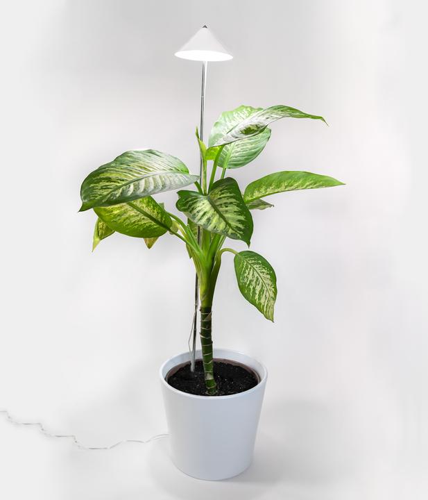 Produktbild Parus by Venso Sunlite XL 25 (LED, 220 V)