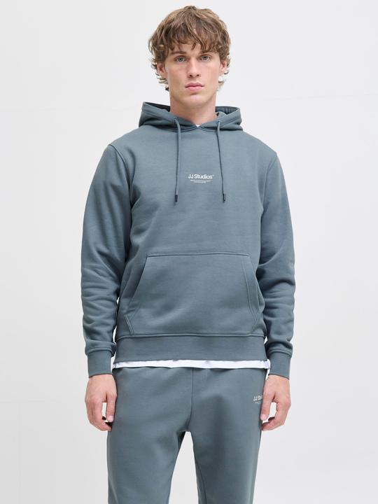 Actual product image Jack & Jones Jjesoho Sweat Hood Noos (S)