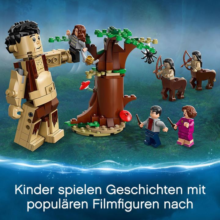 Produktbild LEGO Der Verbotene Wald: Begegnung mit Umbridge (75967, LEGO Harry Potter)