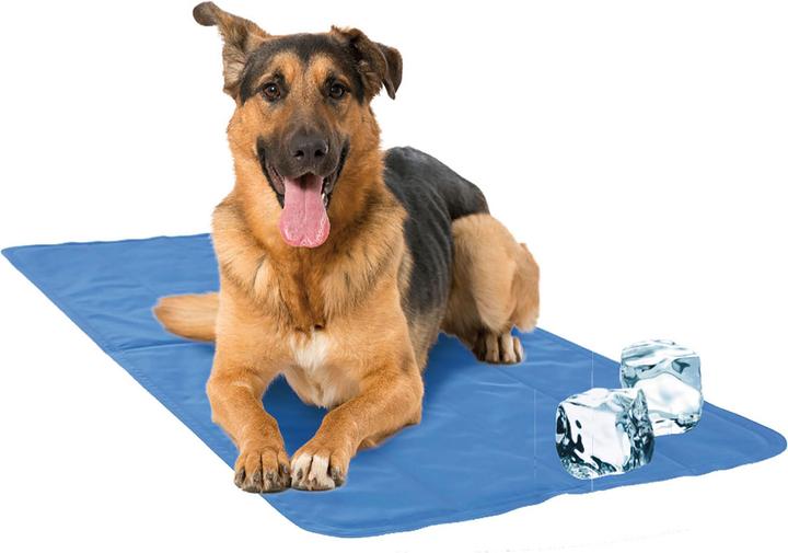 Produktbild Swisspet Cool (Katze, Hund)