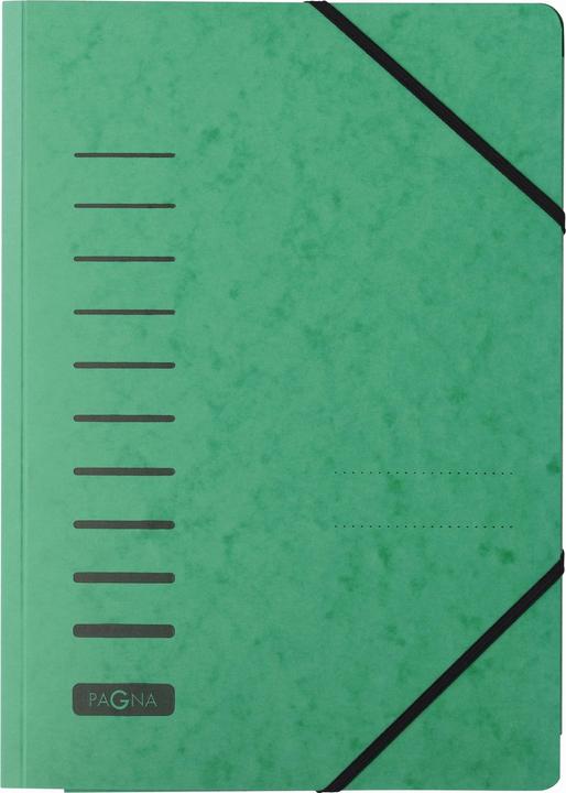 Actual product image Pagna Rubber band folder (A4, 1 x)
