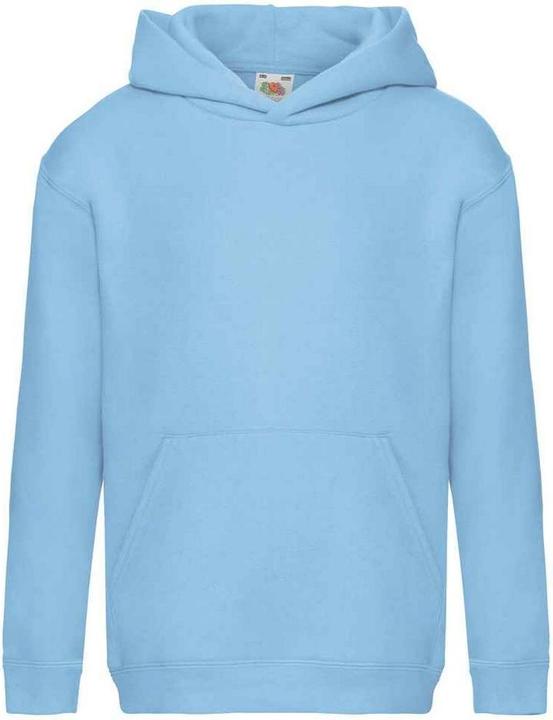 Fruit of the Loom Premium Kapuzenpullover (128)