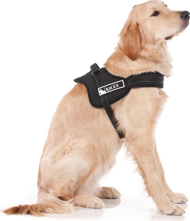 Actual product image Swisspet S.W.A.T. harness for dogs L black (L, Dog, General)