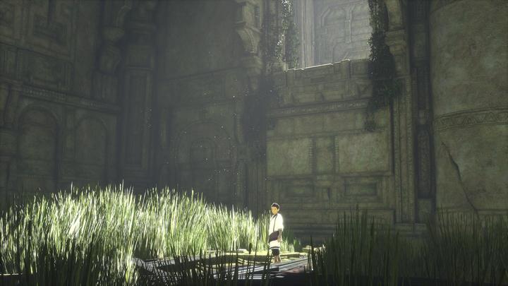 Actual product image Sony The Last Guardian (PS4, Multilingual)