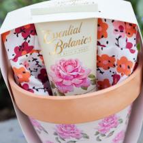 Image du produit Accentra Botanique essentielle (Set manucure)