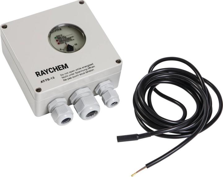 Raychem Thermostat