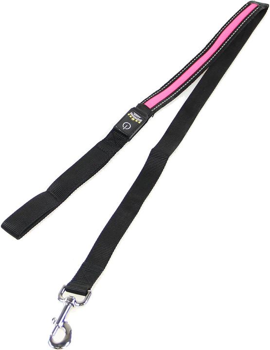 Swisspet Fluorescent leash Fluo (Dog, Dog sport)