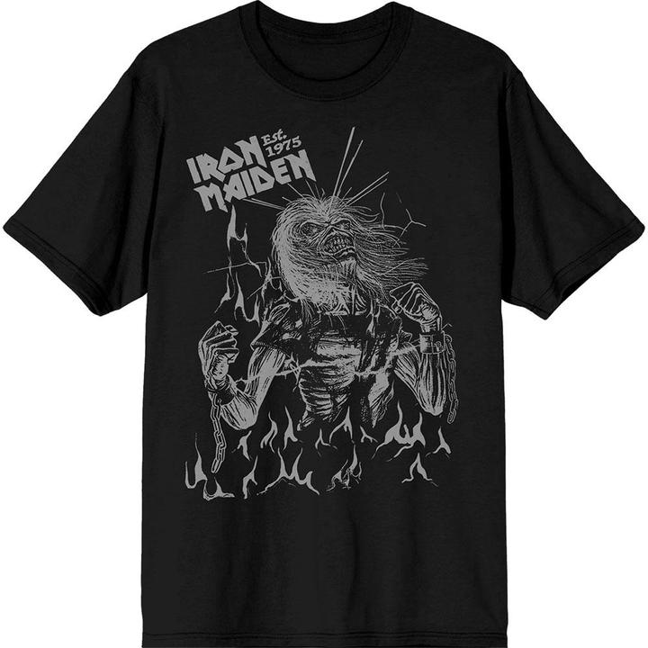 Iron Maiden Unisex Adult Est. 1975 Life After Death Flames T-Shirt (XXL)