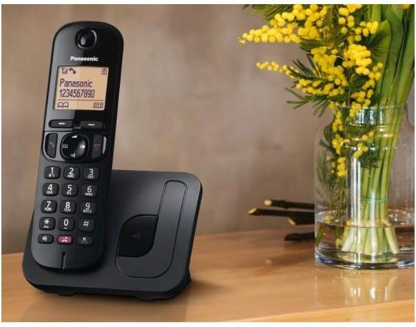 Actual product image Panasonic KX-TGC250JTB Digital Cordless Phone for the Elderly