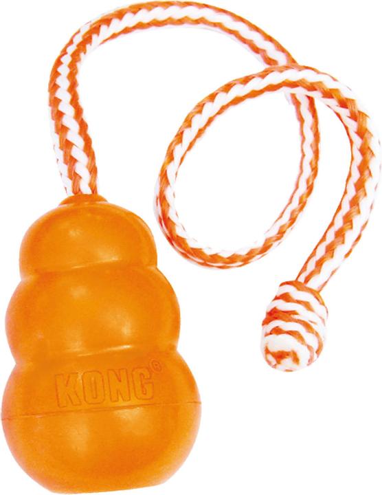 KONG Aqua (Apportieren)