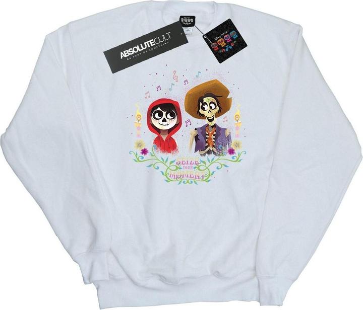 Disney Coco Miguel And Hector Sweatshirt (XL)