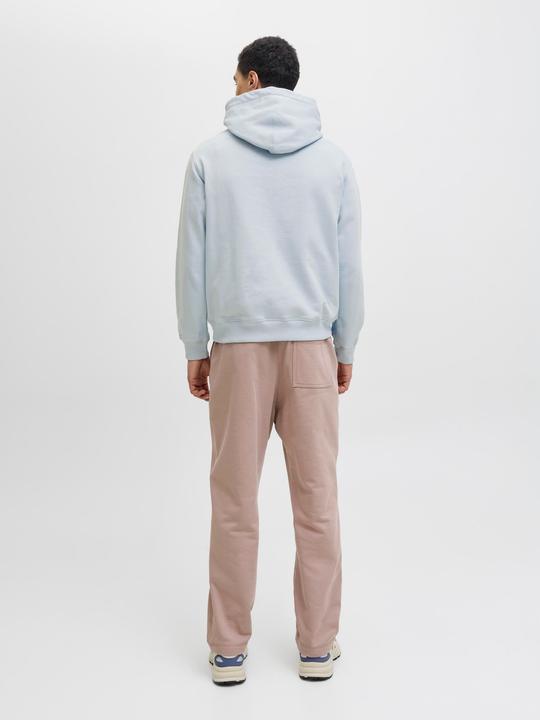 Produktbild Jack & Jones Kapuzenpullover Kapuzenpullover (M)