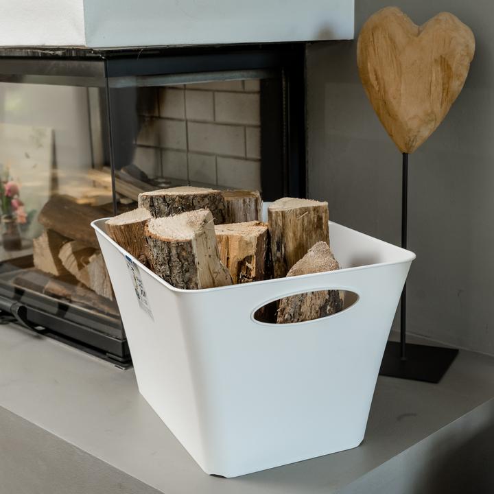 Image du produit Rotho Livingbox (32 x 26 x 43 cm, 24 l)