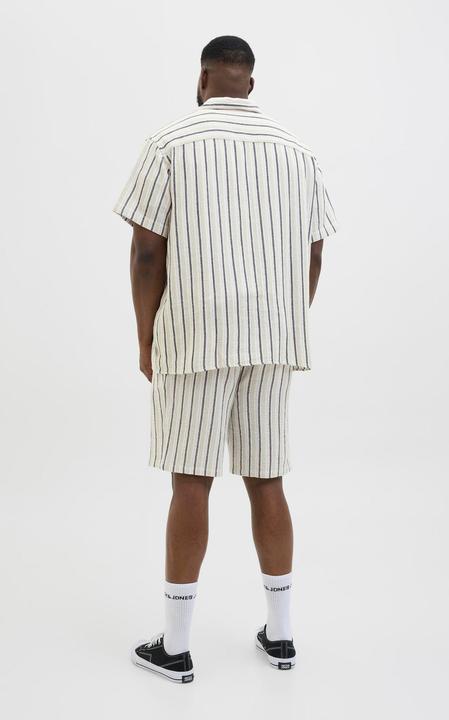 Produktbild Jack & Jones Jorcoba Stripe Resort Shirt Ss Sn Pls (4XL)