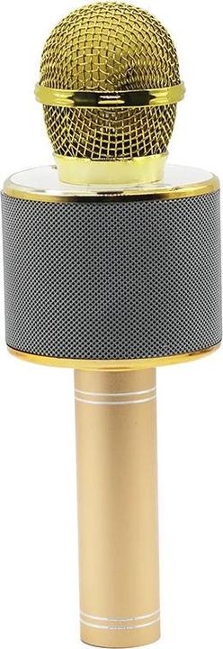 Productafbeelding Manta MIC10-G goud