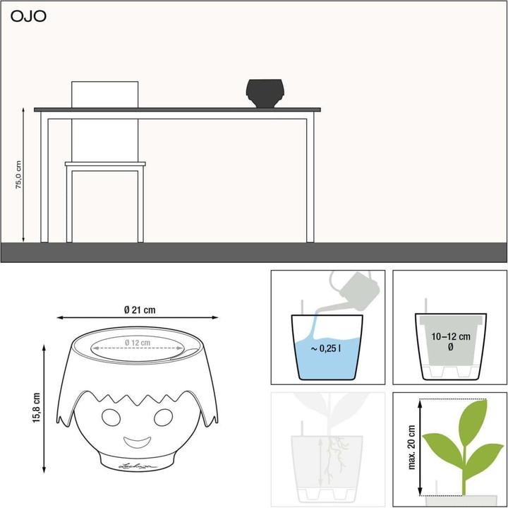 Image du produit Lechuza Ojo (21 cm)
