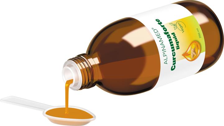 Actual product image Alpinamed Curcumaforte Liquid (1 Piece, Liquid, 520 g)