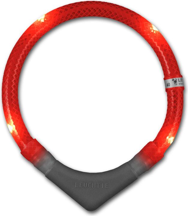 Leuchtie Leuchthalsband Plus (XL, Hund, Spazieren, Arbeit)