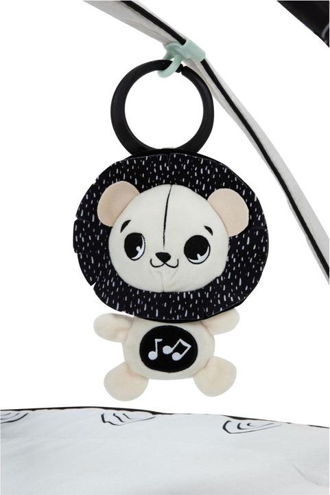 Image du produit Tiny Love Classic