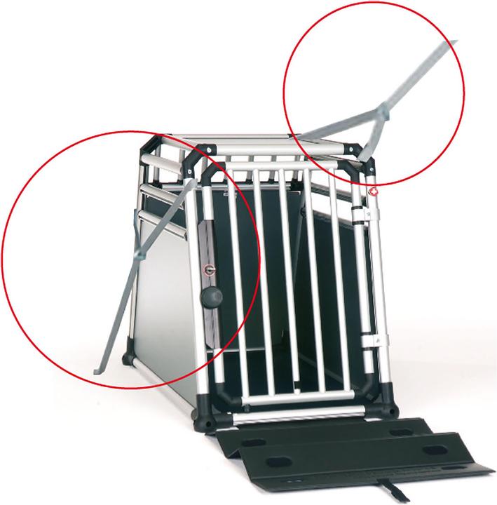 Actual product image Dogbox Strap-Fix (Dog)