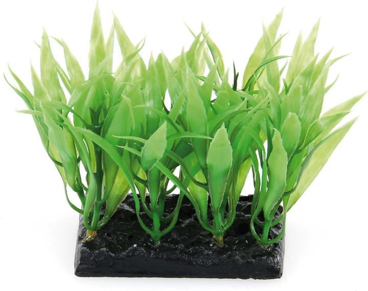 Produktbild Amazonas Fantasy Plant (Dekoration, Pflanzen)