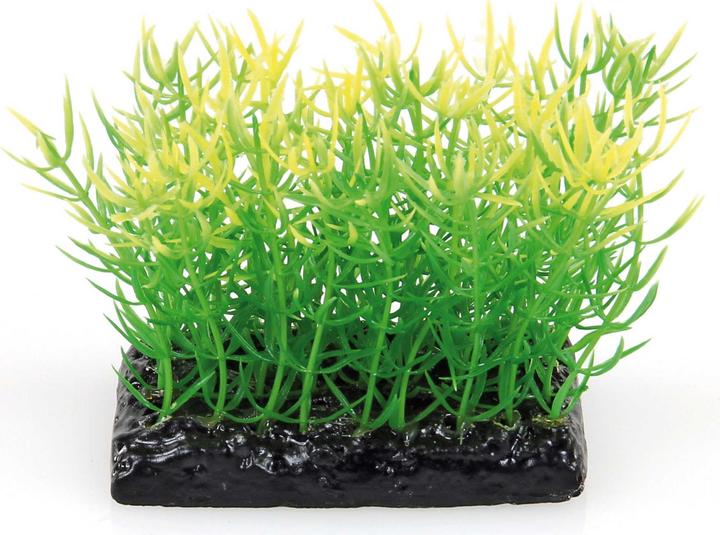 Produktbild Amazonas Fantasy Plant PP 10cm (Dekoration, Pflanzen)