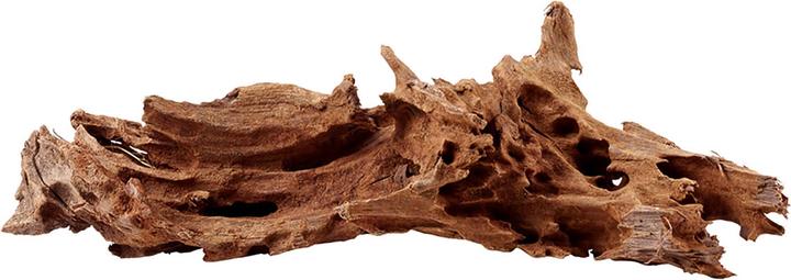 Amazonas Mangrove wood (Sand, Tree)