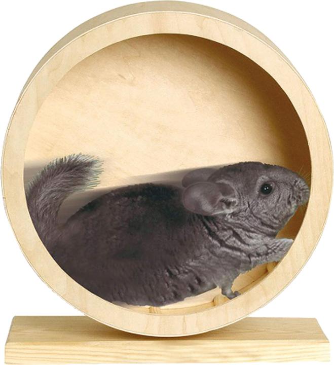 Image du produit Trixie Roundy