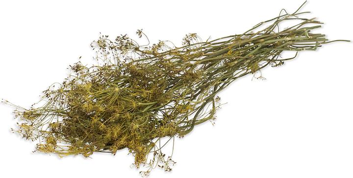 Produktbild JR Farm ESN Dill-Ernte 80g (0.08 kg, 1 x)