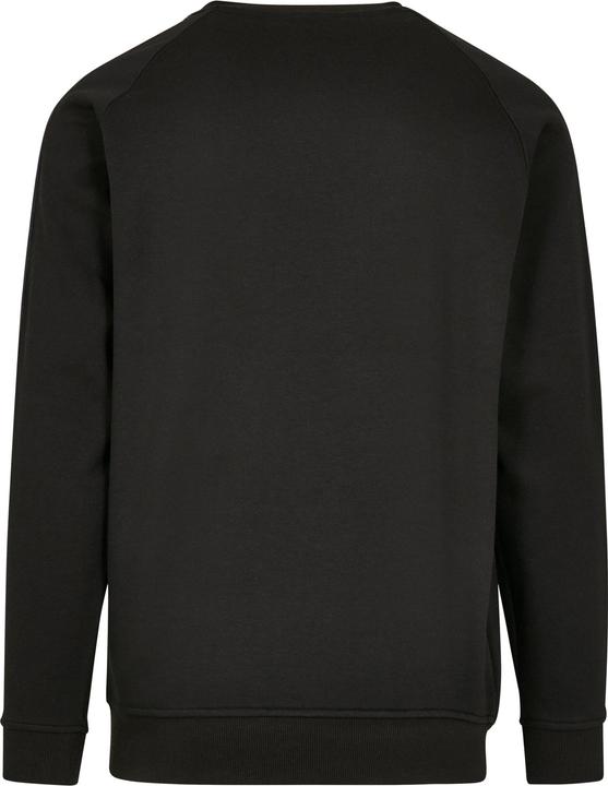 Actual product image Mister Tee NASA Insignia Tape Crewneck (S)