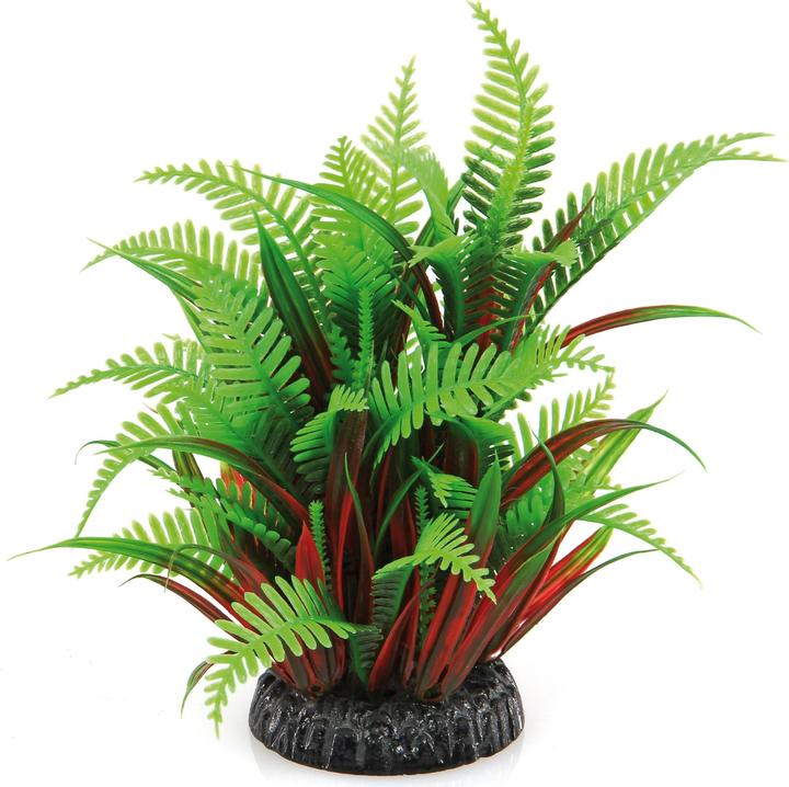 Immagine prodotto Amazonas Impianto di fantasia (Piante, Piante)