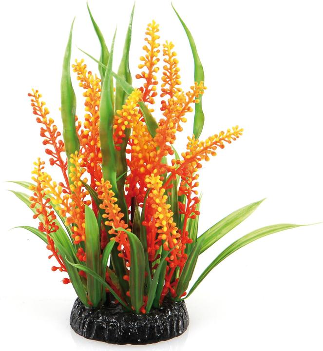 Immagine prodotto Amazonas Impianto di fantasia QL125 (Decorazione, Piante)