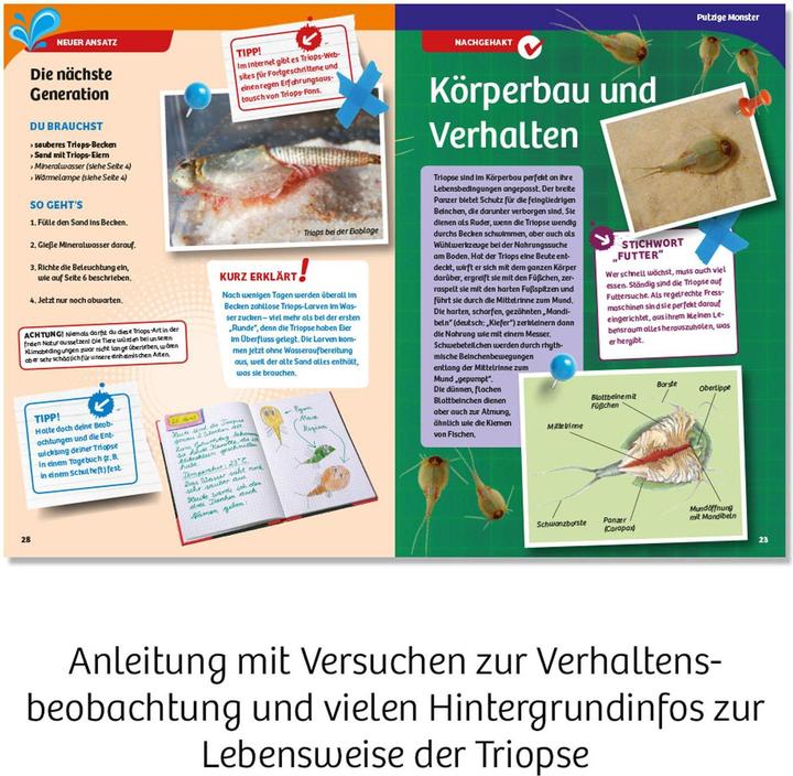 Produktbild Kosmos Triops - Leben aus der Urzeit