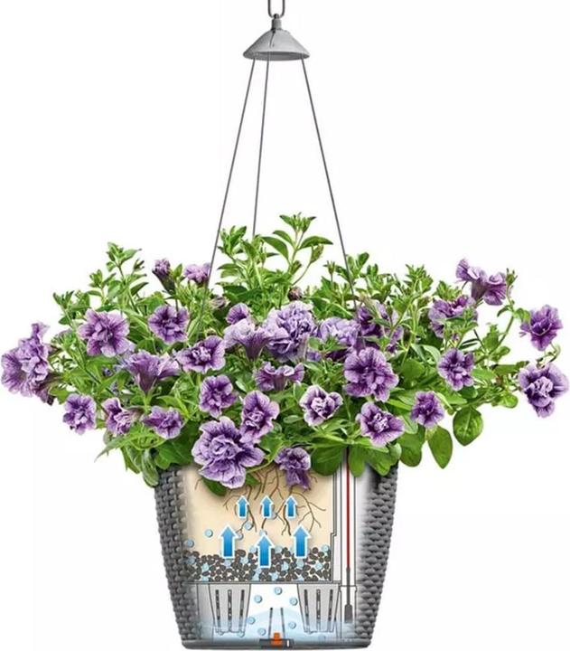 Actual product image Lechuza Nido Cottage (27 cm)