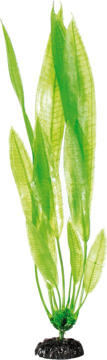 Immagine prodotto Amazonas Impianto nano (Decorazione, Piante)