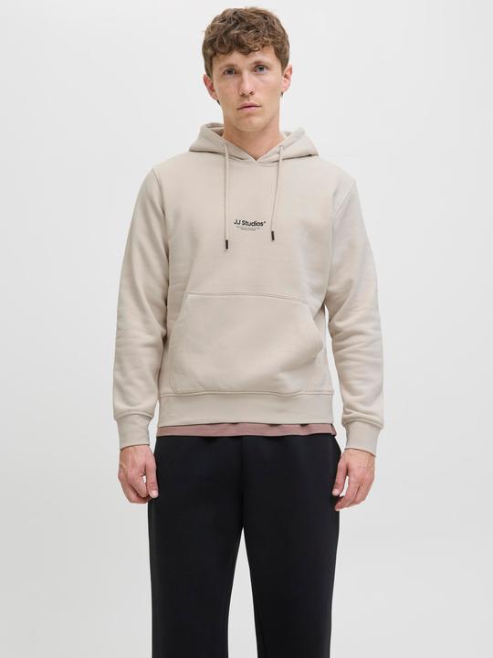 Actual product image Jack & Jones Jjesoho Sweat Hood Noos (L)