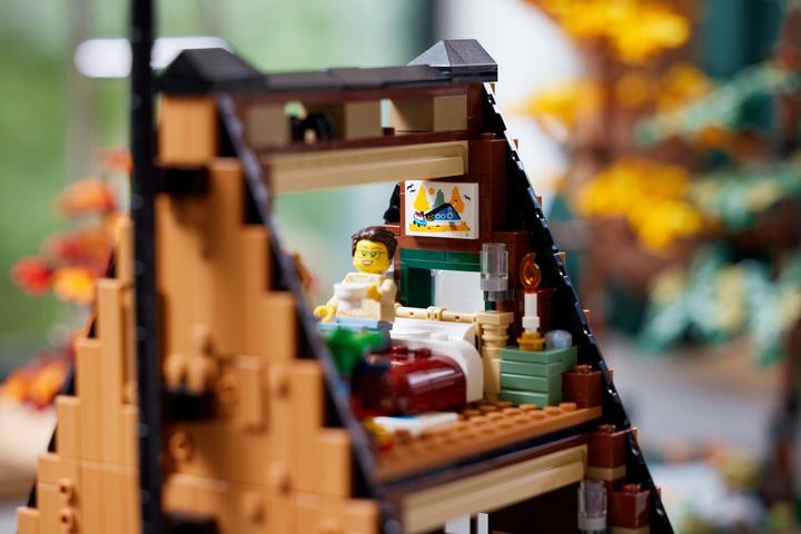 Actual product image LEGO Ideas Finn Cottage 21338 (21338, LEGO Ideas, LEGO Rare Sets)