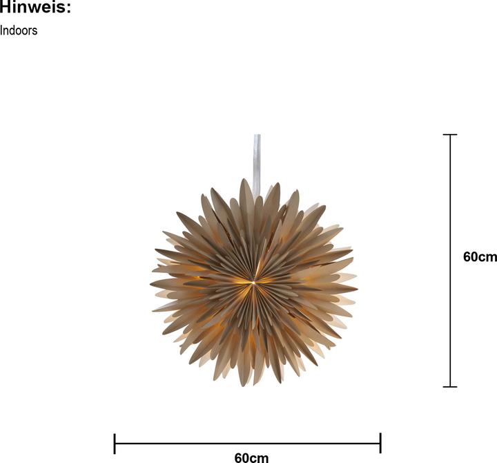 Actual product image Star Trading Winter
