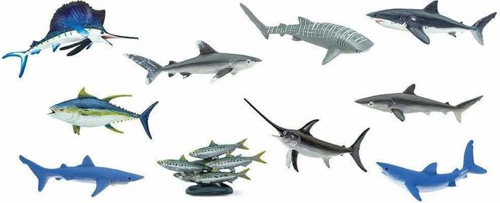 Produktbild Safari Pelagische Fische