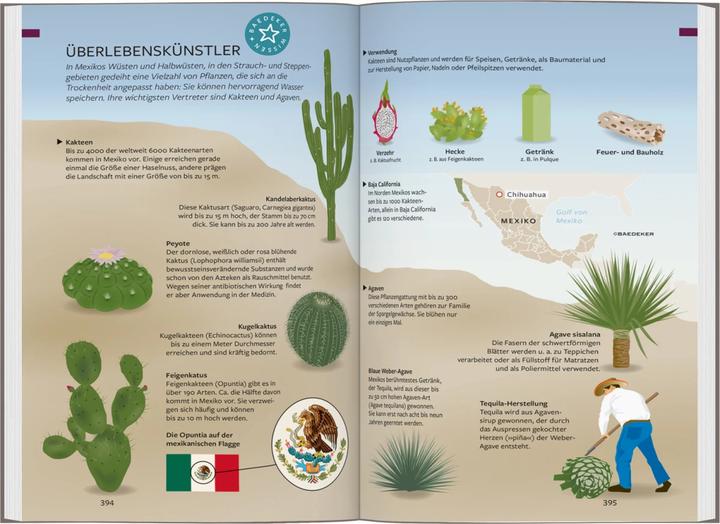 Produktbild Reiseführer Mexiko (Deutsch, Juliane Israel, Rita Szerelmy, Beate, 2023)