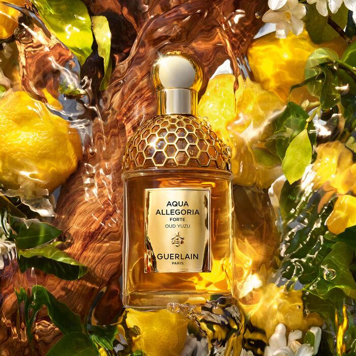 Actual product image Guerlain Aqua Allegoria Oud Yuzu Forte (Eau de parfum, 75 ml)