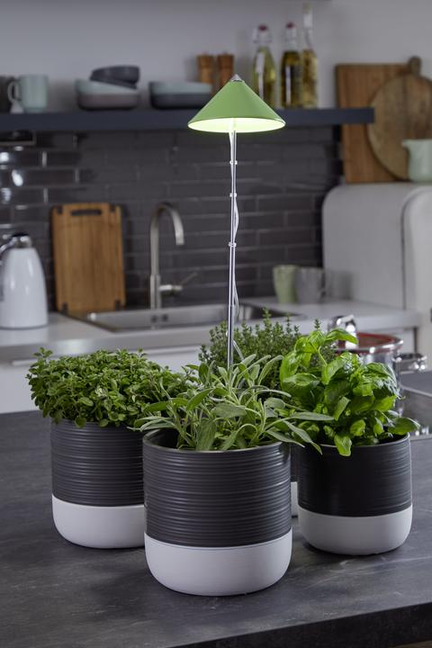 Produktbild Colibri Sunlite (LED, 230 V)