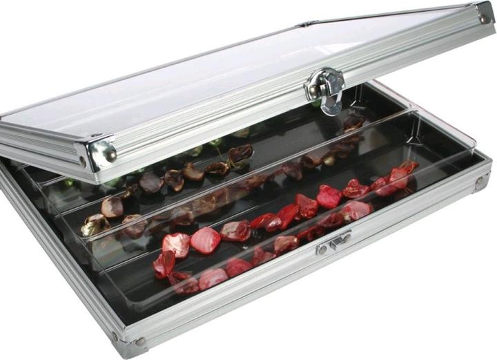 Produktbild Safe Sammelvitrine Alu mit 3 Fächer