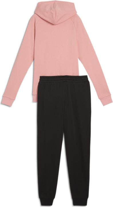 Image du produit Puma Sweat à capuche TR cl (L)