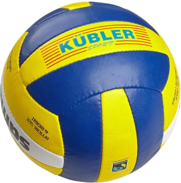 Immagine prodotto Samba ® Fairtrade Volleyball PRO 4000 (5)