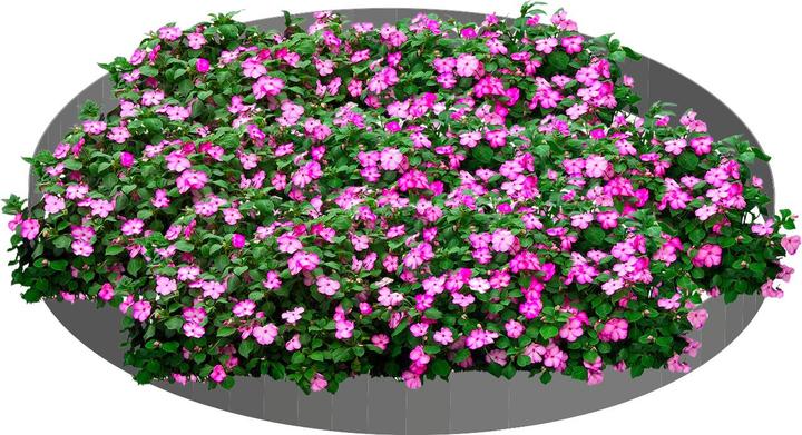 Produktbild Green Split Blumenpyramide (2 Stk: 120 x 13,5cm) (13.50 cm, 13.50 cm)